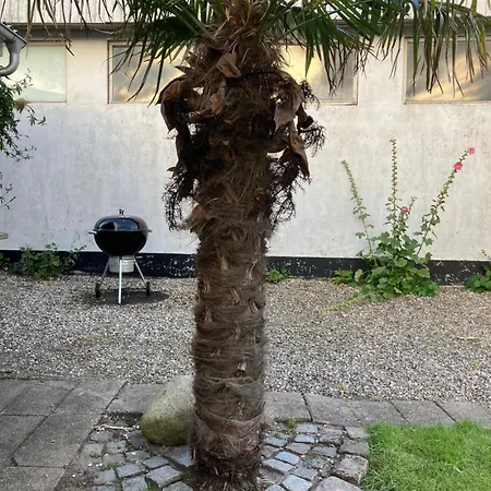 Feriehus Strandhytten Broager